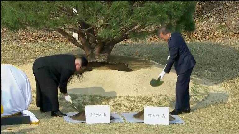 The leaders of North and South Korea plant a tree while they attend a summit