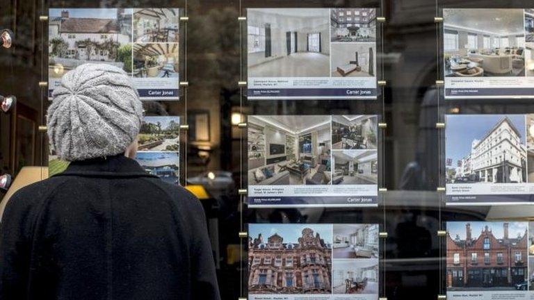 Person looking in estate agent's window