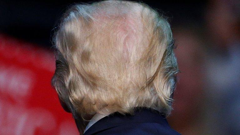 Back of Donald Trump's head