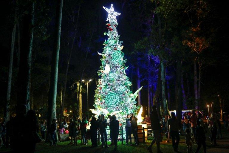 People take selfies at a Christmas tree at Ibirapuera Park in Sao Paulo, Brazil