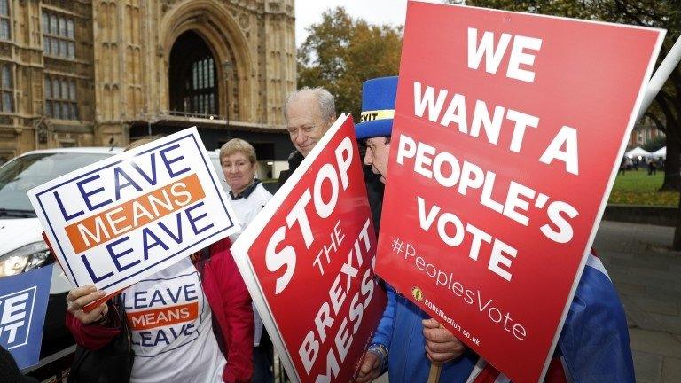 Brexit protesters