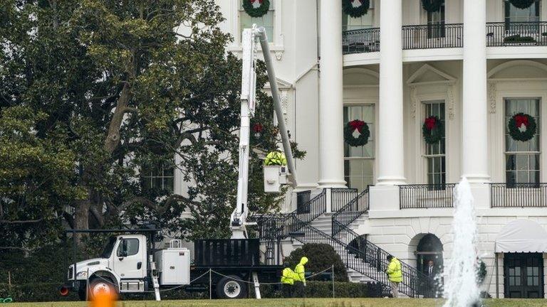 Workers prepare to remove the iconic Jackson Magnolia tree, the oldest tree on the White House grounds, from the South Lawn of the White House in Washington, DC, USA, 27 December 2017