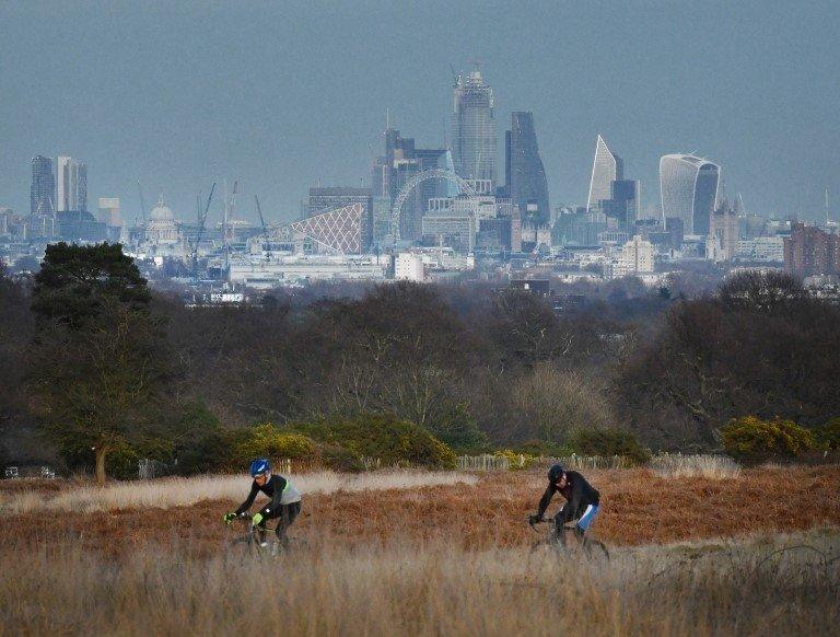 Cyclists riding through a park