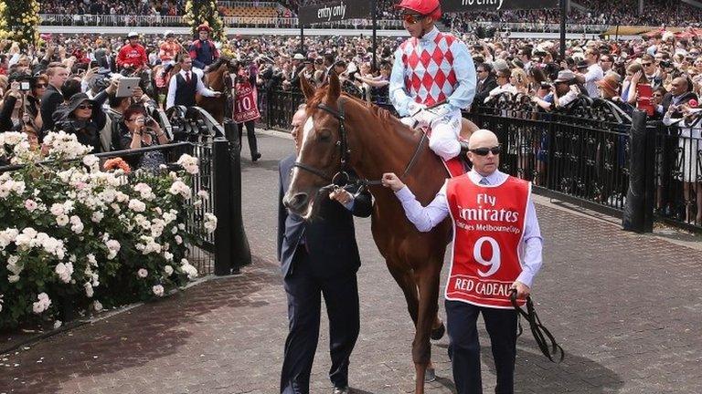 Red Cadeaux at the Melbourne Cup