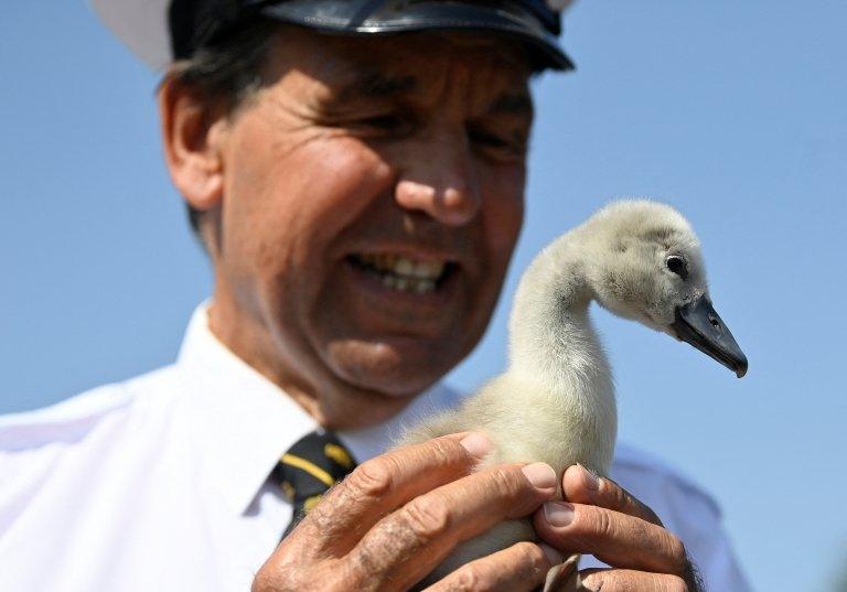 man cuddling baby swan