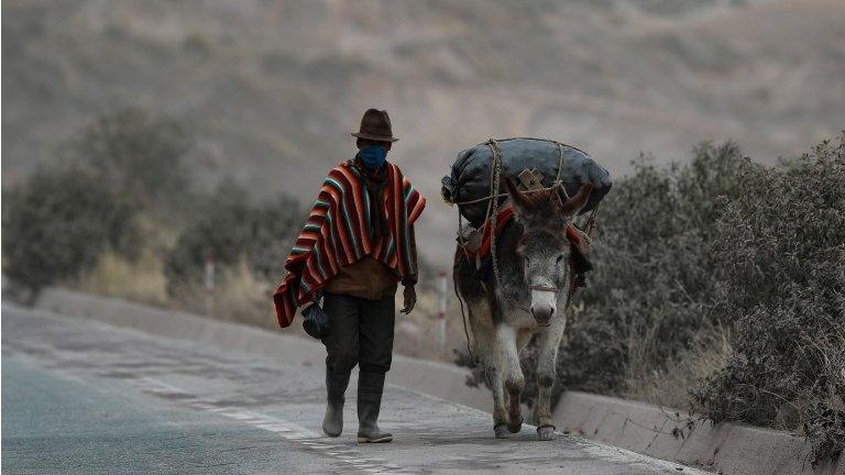 A farmer and his donkey walk on a road covered by the ash expelled by the Sangay volcano, in Alausi, in the province of Chimborazo, Ecuador, 20 September 2020