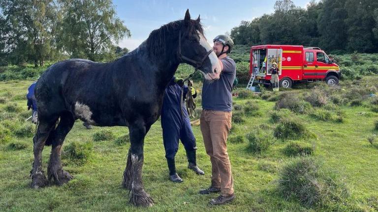 Bon the horse with Hampshire and Isle of Wight fire and rescue service