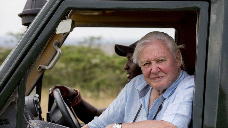 david attenborough