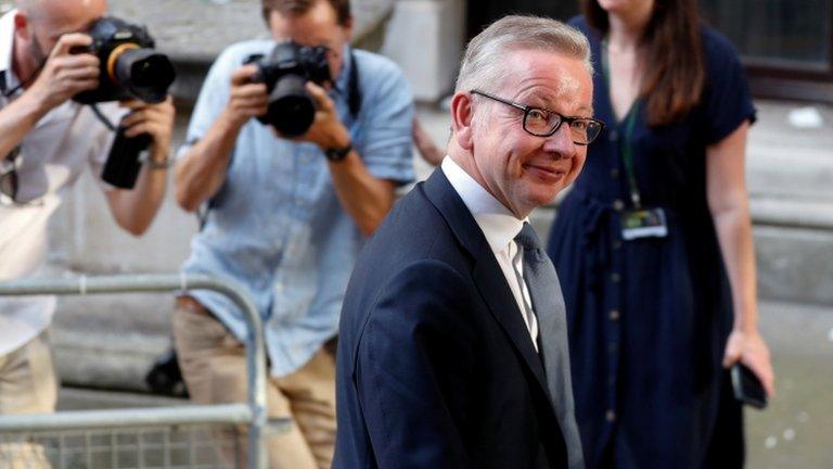 Michael Gove