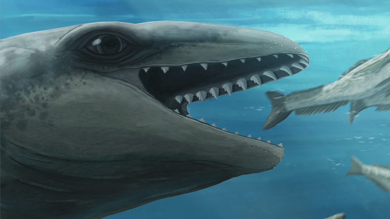 Art by Ruairidh Duncan showing what ancient species of whale might have looked like