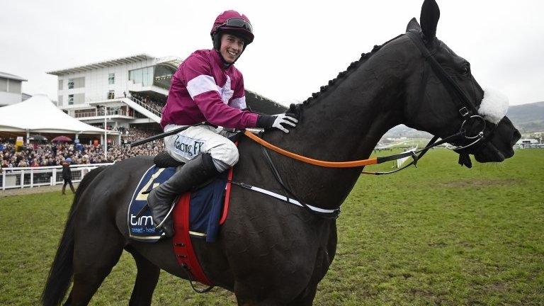 Cheltenham Gold Cup winner Don Cossack