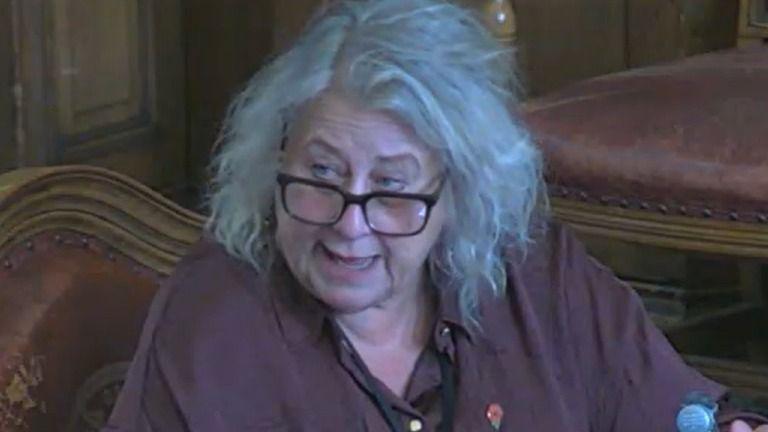 A woman with shoulder-length white hair and dark-rimmed glasses is wearing a purple blouse. She is speaking at a meeting in Sheffield Town Hall.