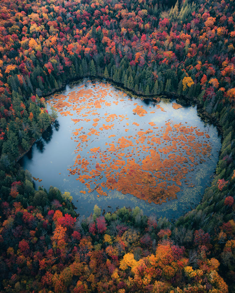 Lake in the Muskoka District in Canada.