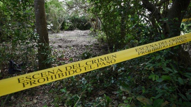 A police cordon marks the perimeter of the site of unmarked graves where a forensic team and judicial authorities are working in after human skulls were found, in Alvarado, in Veracruz state, Mexico, March 19, 2017