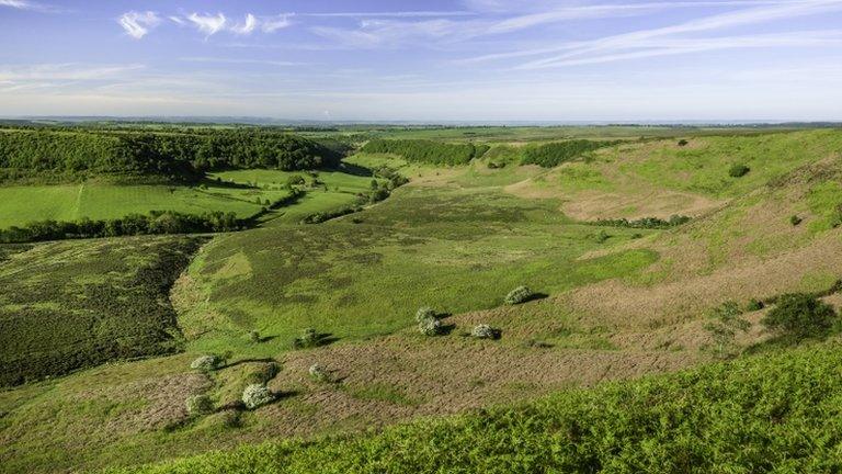 North York Moors