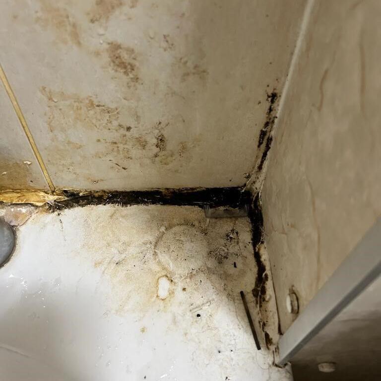 Black mould on the side of a bath in a flat in Cables Wynd House.