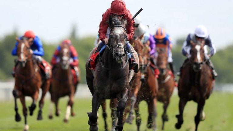 Roaring Lion wins at York