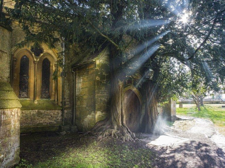 A yew framing the North Door of St Edward's Church, Stow-on-the-Wold in Gloucestershire, which may have inspired JRR Tolkien's description of the Doors of Durin in the Lord Of The Rings trilogy, Fellowship Of The Ring.