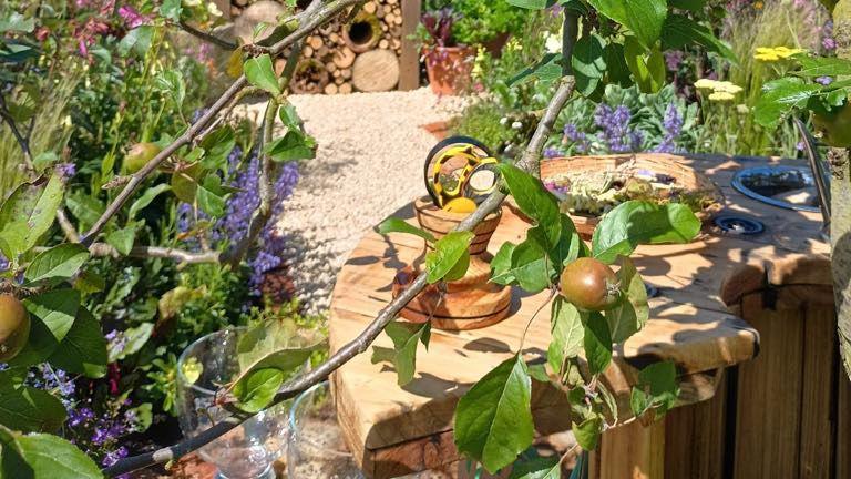 Flowers around a wooden seat