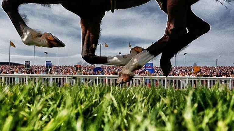 Grand National runners pass spectators at Aintree