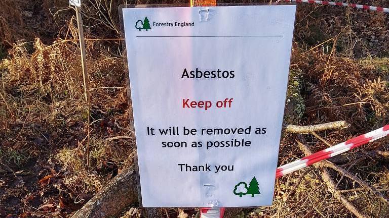 Image shows a laminated sign at Sammie's Wood near Cinderford with a Forestry England sign in the right corner and the name at the top. The sign reads: 'Asbestos. Keep off. It will be removed as soon as possible. Thank you.' Behind the sign, woodland foliage can be seen. Red and white tape is also visible. 