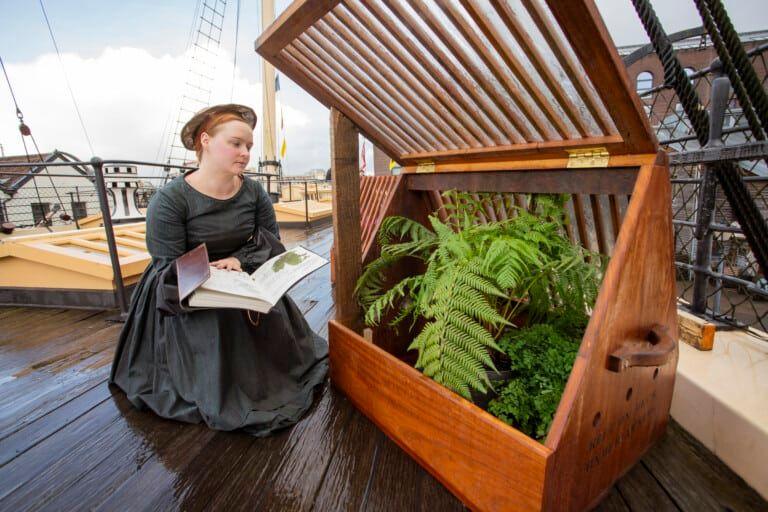 The Wardian cases were kept on the weather deck and created their own microclimate  