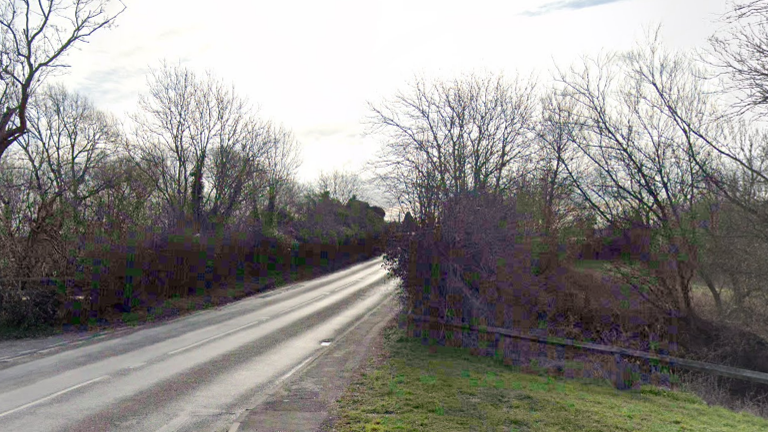 Trees line the edge of Willington Road