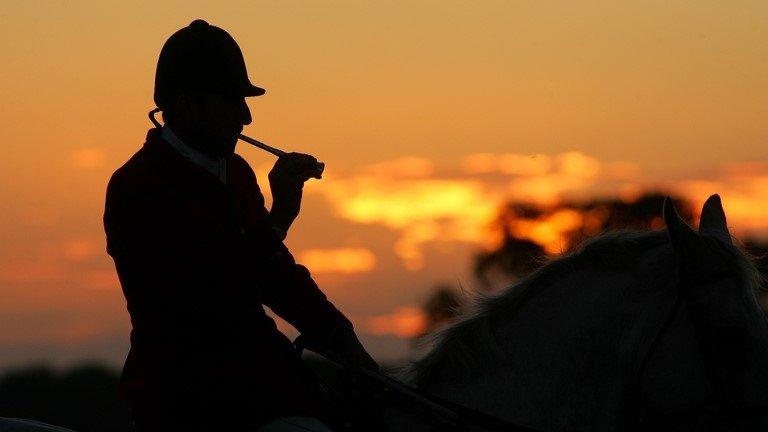 Silhouette of huntsman riding horse