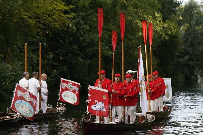 swan uppers on a boat