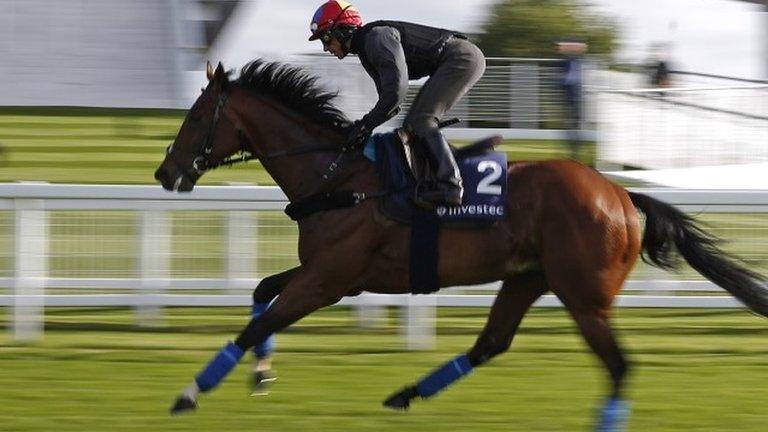 Cracksman at Epsom