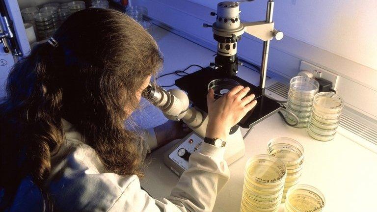 Young woman researcher analyses samples in a biochemistry laboratory