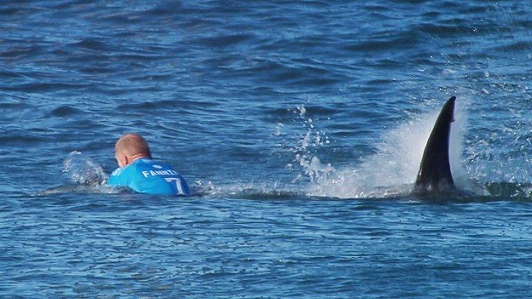 Shark behind Mick Fanning