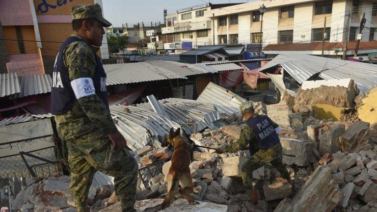 Soldiers with specially trained dogs search for survivors amid the ruins of buildings knocked down Thursday night by a 8.1-magnitude quake, in Juchitan de Zaragoza, Mexico, on September 9, 2017