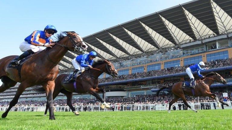 Barney Roy at Ascot