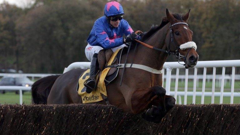 Cue Card