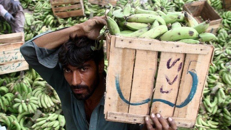 A worker carries bananas at a fruit market in Karachi, Pakistan, 26 May 2017.