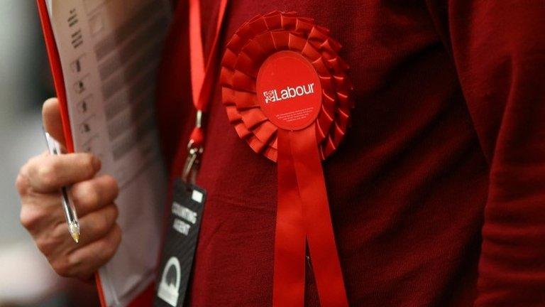 Labour rosette