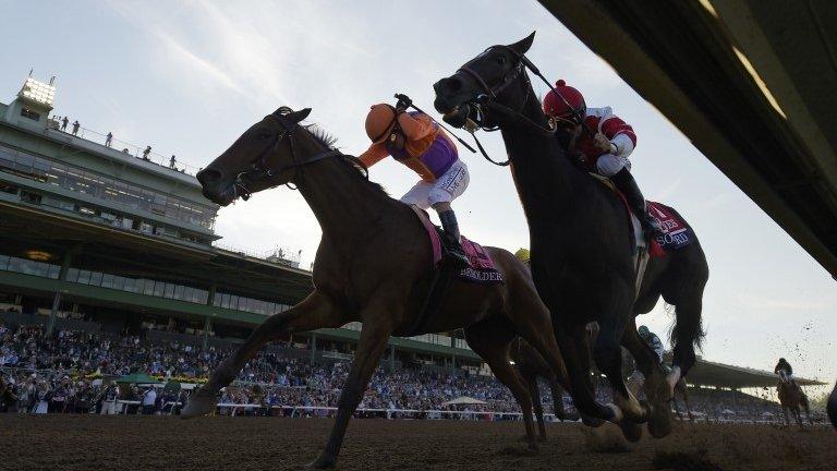 Beholder beats Songbird at the Breeders' Cup