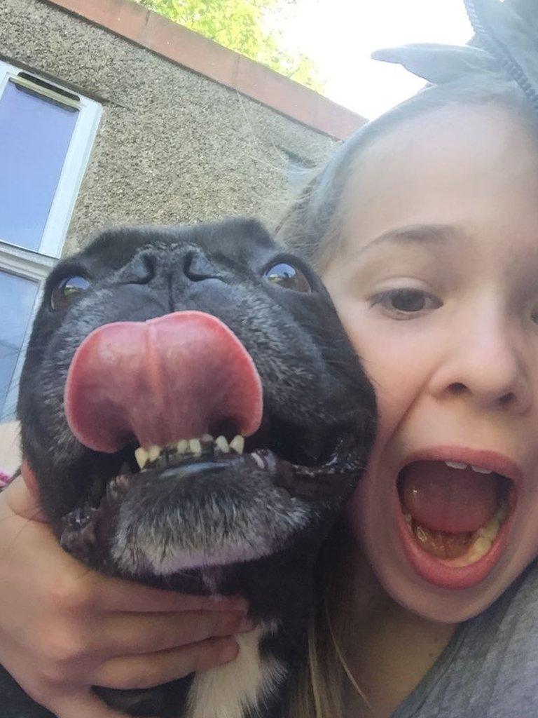 Eight-year-old Ruby from Liverpool is having fun in the sun with her beautiful dog, Frankie