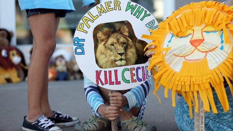 Protest signs with lions on