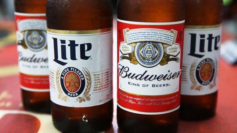 Miller Lite and Budweiser beer bottles