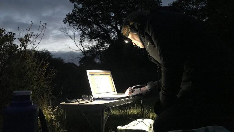 Hazel Reeves live streaming in the park