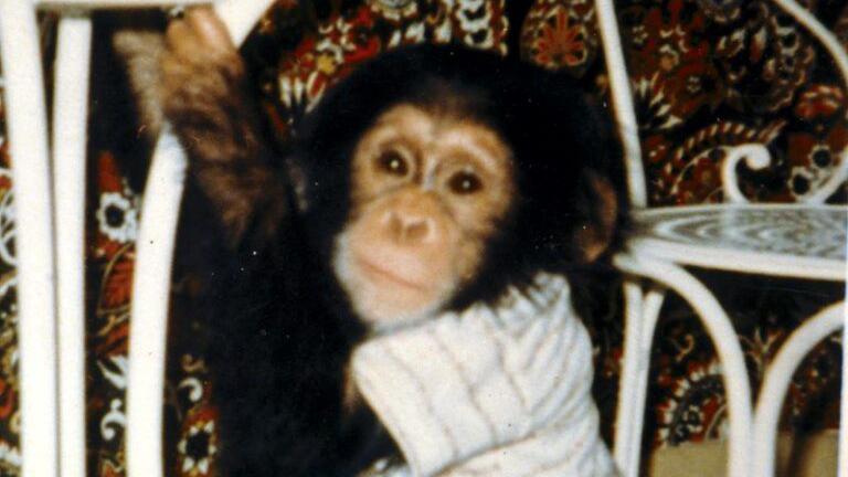 A young Boris wrapped in a blanket and sitting on what appears to be a white chair, with 1960s-style patterned brown wallpaper in the background