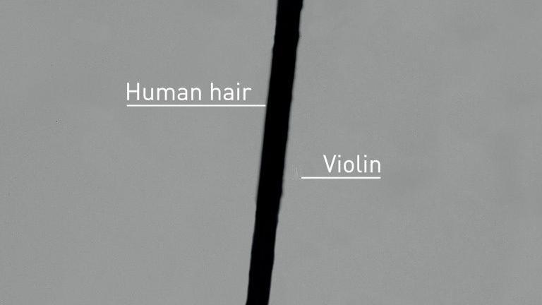 tiny violin compared to a hair