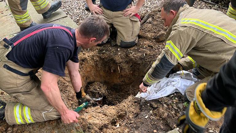 Fire crews digging to get to a trapped fox cub in Colchester, Essex