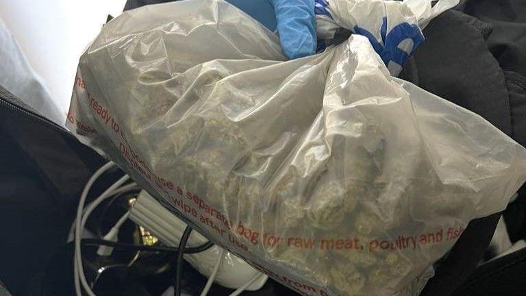 A hand wearing a blue latex glove is holding a white plastic Tesco shopping bag full of cannabis, which is twisted shut at the top.