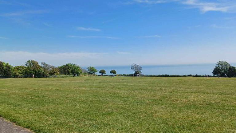 a wide view of a field and trees in the distance on a sunny day with blue skies 