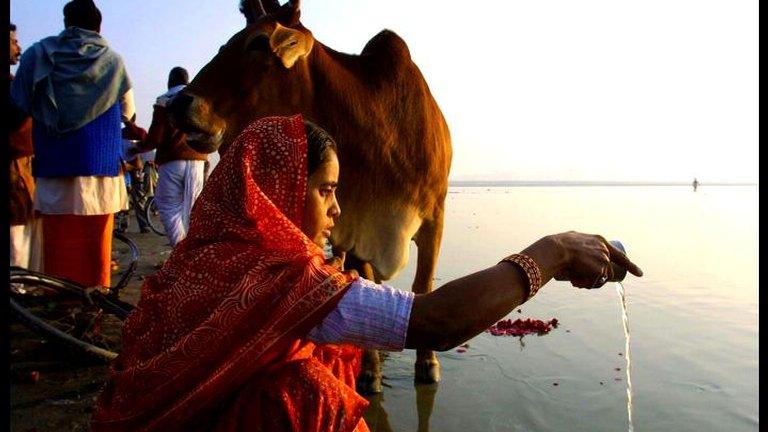 A Hindu prays on the banks of Sangam, the confluence of river Ganges