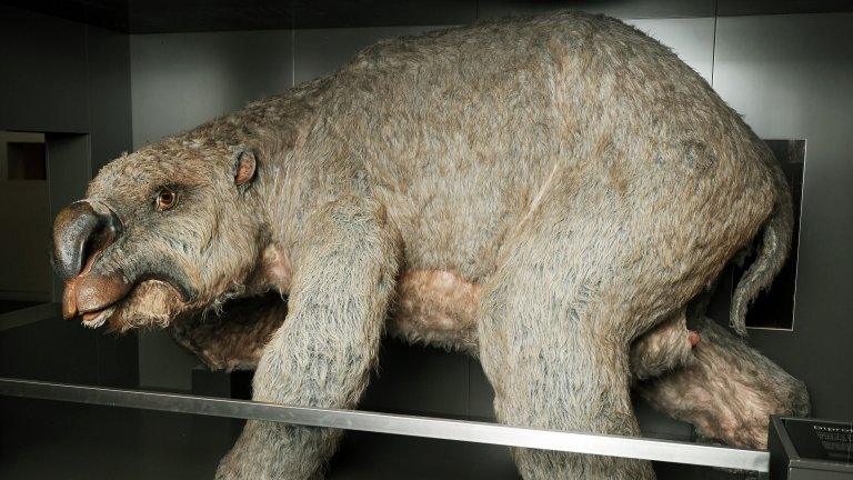 Diprotodon model at the Australian Museum, Sydney