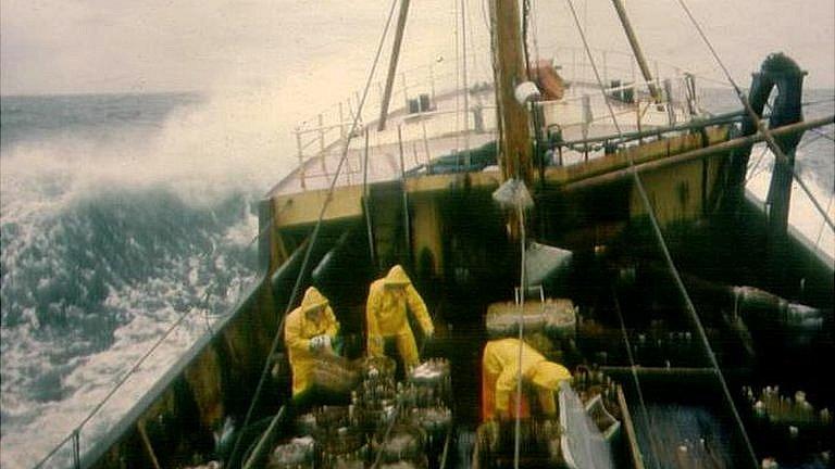 Trawler at sea